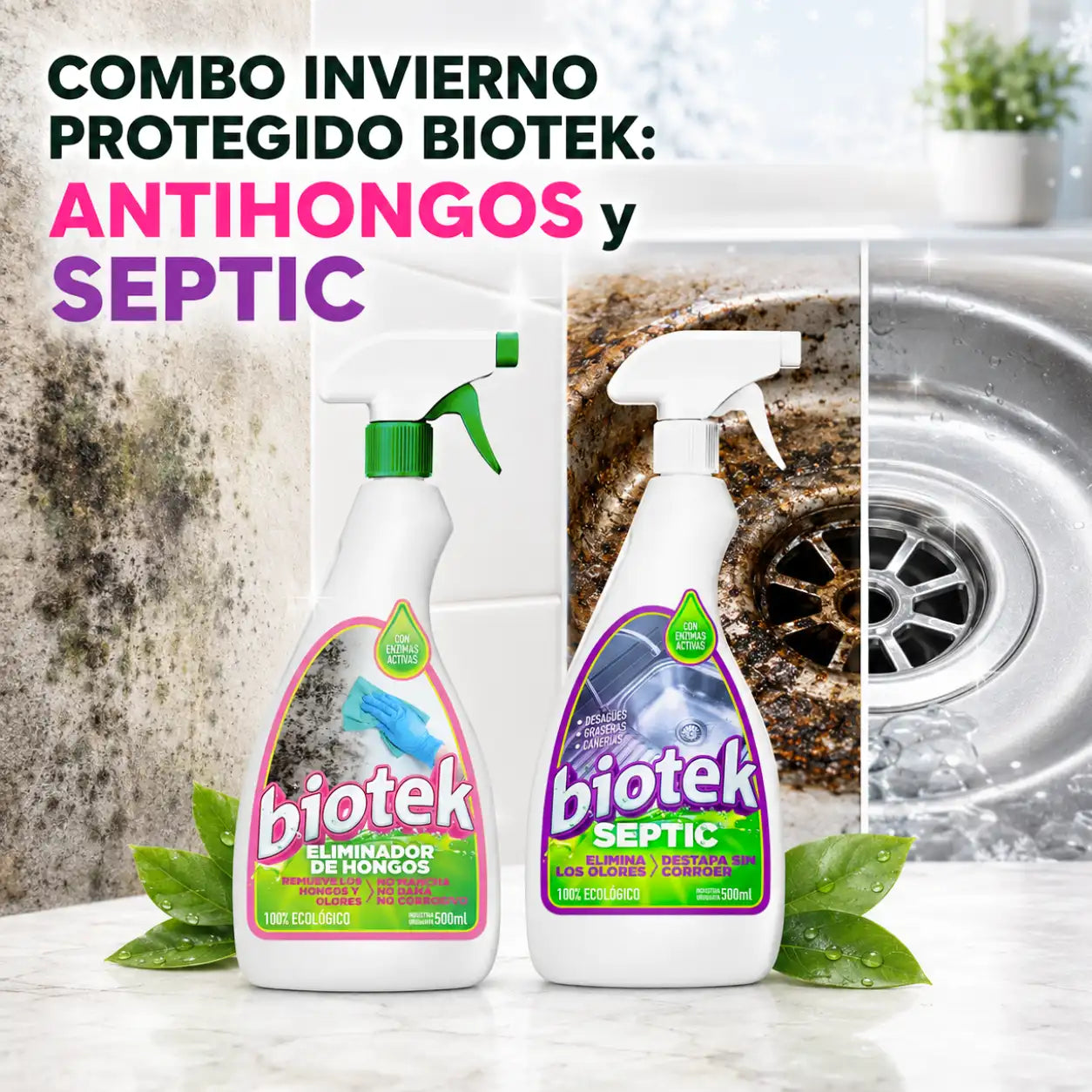 COMBO INVIERNO PROTEGIDO BIOTEK: ANTIHONGOS y SEPTIC