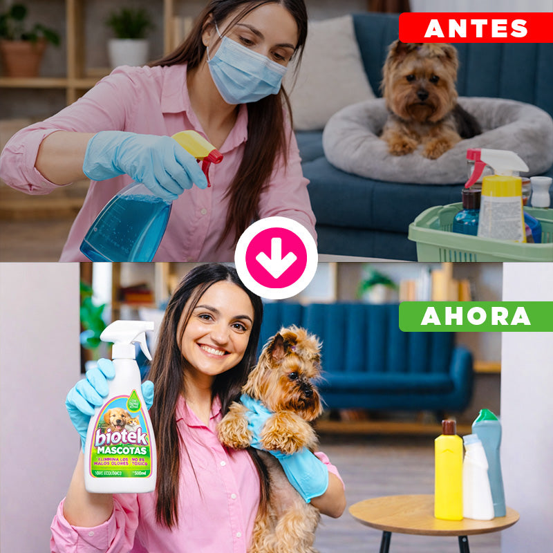 Biotek Mascotas | El limpiador que realmente entiende a tu mejor amigo