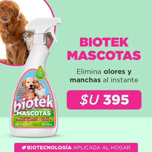 Biotek Mascotas: elimina olores y manchas sin dañar superficies