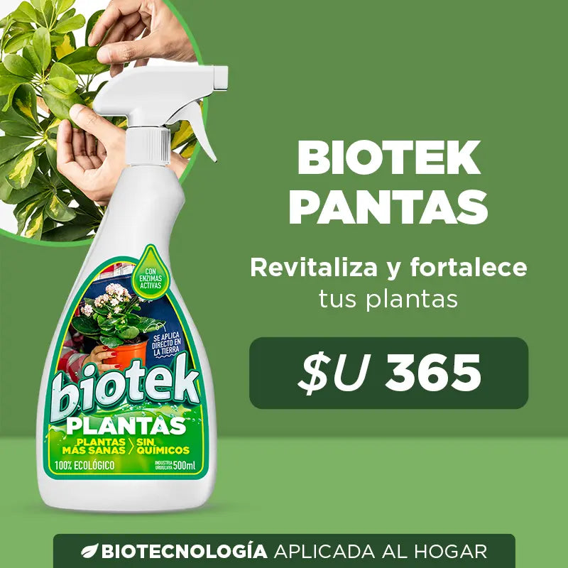 Alimento para Plantas Biotek: de plantas débiles a frondosas y resistentes 🌱