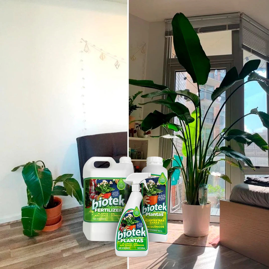 Alimento para Plantas Biotek: de plantas débiles a frondosas y resistentes 🌱