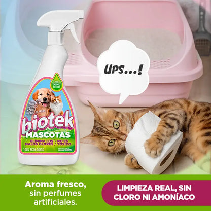 Biotek Mascotas: elimina olores y manchas sin dañar superficies