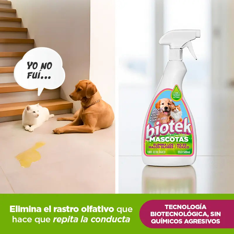Biotek Mascotas: elimina olores y manchas sin dañar superficies