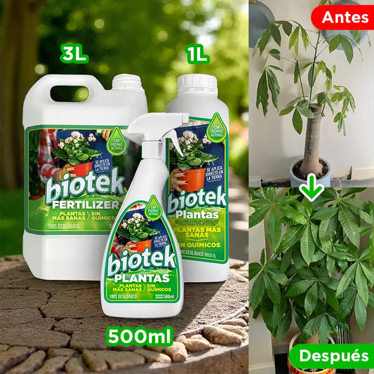 Alimento para Plantas Biotek: de plantas débiles a frondosas y resistentes 🌱