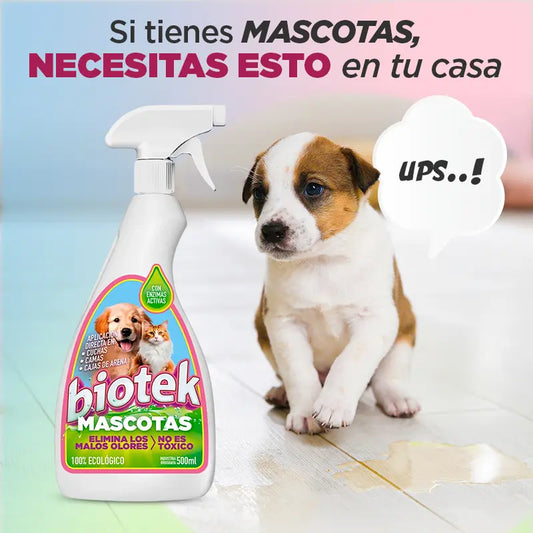 Biotek Mascotas: elimina olores y manchas sin dañar superficies