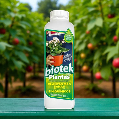 Alimento para Plantas Biotek: de plantas débiles a frondosas y resistentes 🌱